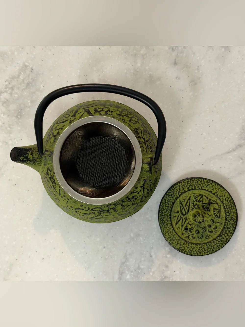 Kyusu Cast Iron Tea Pot Creative Avacado Green Bamboo Design w/ Infusion Basket